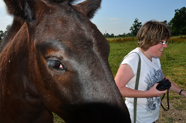 12 07 13_5049.JPG - BNSS COACH TRIP TO SAMPSONS PERCHERON STUD - 12.7.13